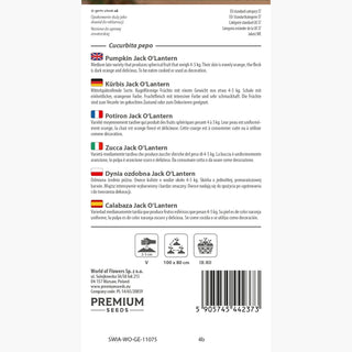 Potiron Jack O'Lantern - Parfaite pour lanternes et décorations, fruits jusqu'à 10 kg