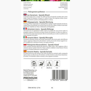 Géranium Lierre - Speedy Mélange - Parfaite pour les pots suspendus - Pelargonium peltatum