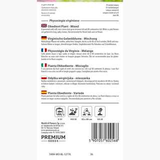 Physostégie de Virginie - Mélange - Mélange de couleurs pastel - Physostegia virginiana