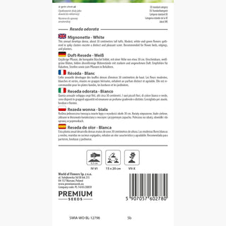 Réséda - Blanc - Classique parfumée des massifs champêtres - Reseda odorata