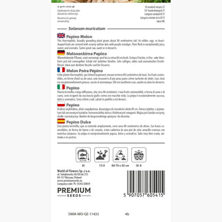 Melon Poire Pépino - Décoratif avec des fruits comestibles et juteux - Solanum muricatum