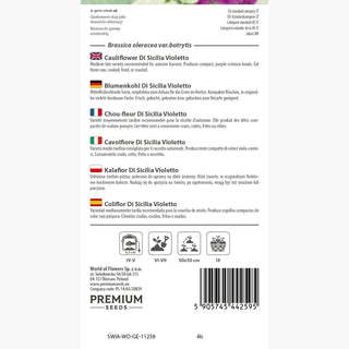 Chou-fleur Di Sicilia Violetto - Roses violettes attrayantes, goût unique et piquant ! - Brassica oleracea var. botrytis
