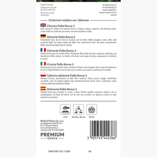 Chicorée Palla Rossa 3 - Idéale pour salades, fraîcheur et croquant dans l'assiette ! - Cichorium intybus var. foliosum