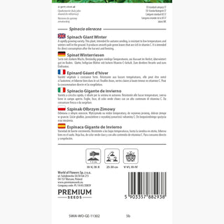 Épinard Géant d'Hiver - Saveur délicate, récoltes abondantes - Spinacia oleracea