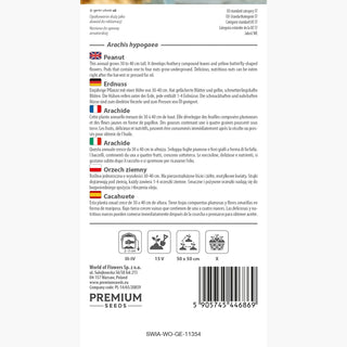 Arachide - Magnifiquement florissant - avec une récolte abondante de cacahuètes ! - Arachis hypogaea