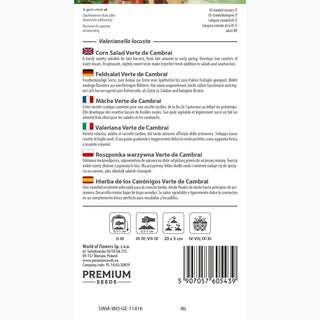 Mâche - Verte de Cambrai - Riche en vitamines, saveur douce - Valerianella locusta