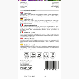 Statice des Canaries - Fleurs épaisses et violettes pour de nombreuses années - Limonium perezii