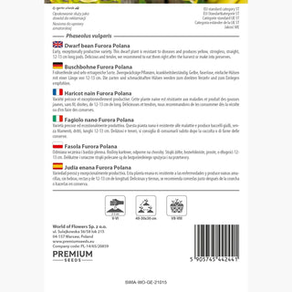 Haricot Nain Furora Polana - Récoltes abondantes, gousses délicates et charnues !