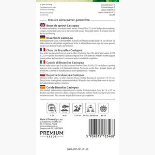 Chou de Bruxelles Casiopea - Délicieuse, parfaite pour la cuisson au four et à la casserole