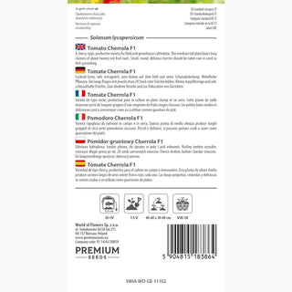 Tomate Cherrola F1 - Exceptionnellement sucrée, résistante et très productive