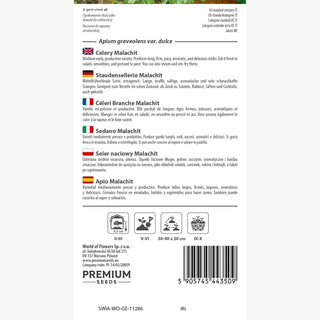 Céleri Branche Malachit - Saveur et arôme exceptionnels, culture facile - Apium graveolens var.dulce