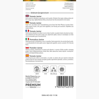 Tomate Jantar - Culture facile, haute productivité, goût exceptionnel !
