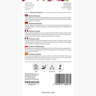 Pétunia Violet - Floraison longue et abondante, entretien facile - Petunia violacea