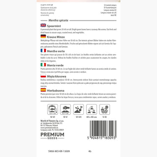 Menthe Verte - Goût et arôme exceptionnels, pousse bien en pot - Mentha spicata