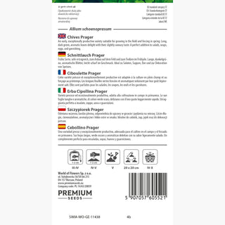 Ciboulette - Prager - Précoce, délicat, résistant au gel