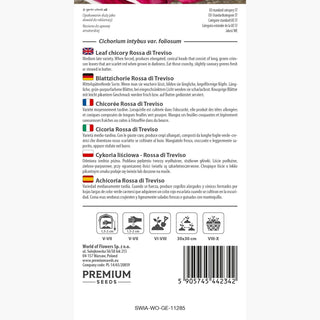 Chicorée Rossa di Treviso - Goût subtil, parfaite crue et cuite ! - Cichorium intybus var. foliosum