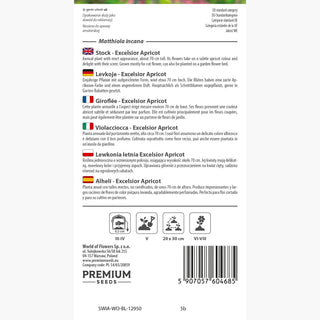 Giroflée - Excelsior Apricot - Teinte chaude et romantique des fleurs - Matthiola incana