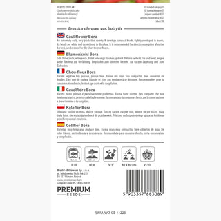 Chou-fleur Bora - Croissance rapide, excellent pour la cuisine - Brassica oleracea var. botrytis