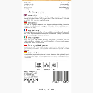 Aneth Sprinter - Aromatique, feuilles juteuses, productif