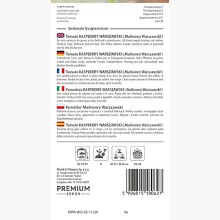 Tomate Raspberry Warszawski - Haute productivité, juteux et sucré