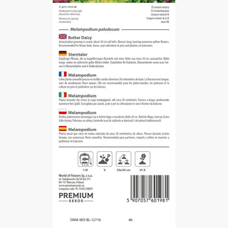 Mélampodium - Floraison longue et abondante - Melampodium paludosum