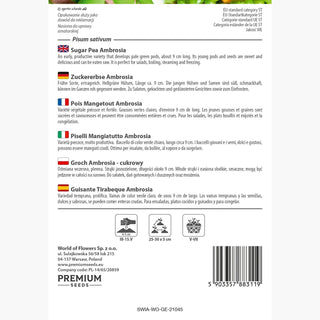 Pois Mangetout Ambrosia - Récoltes précoces, douceur exceptionnelle - Pisum sativum