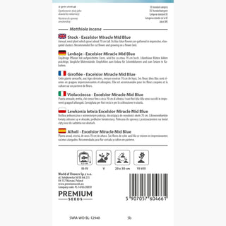 Giroflée - Excelsior Miracle Mid Blue - Fleurs abondantes et parfumées en été - Matthiola incana