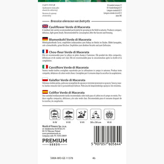 Chou-fleur Verde di Macerata - Belles pommes vertes de chou-fleur