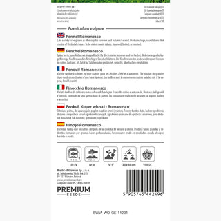 Fenouil Romanesco - Tubercules géants et charnus, parfaits pour friture et cuisson ! - Foeniculum vulgare