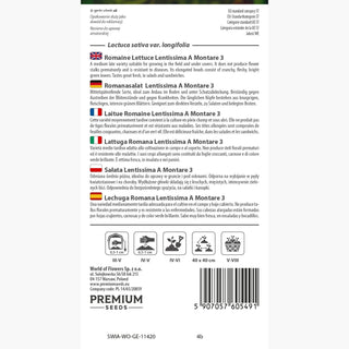 Laitue Romaine - Lentissima A Montare 3 - Grosses têtes longues, fines et croquantes