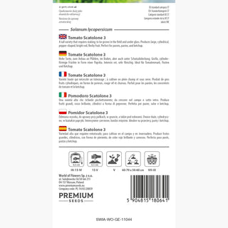 Tomate Scatolone 3 - Super productif, plein de saveur