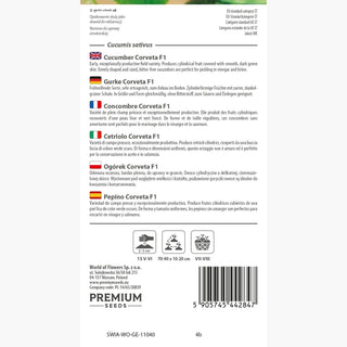 Concombre Corveta F1 - Précoce, productive, sans amertume, idéale pour salades et conserves