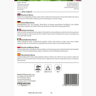 Betterave Bona - Très haute productivité, récoltes abondantes garanties !