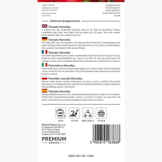 Tomate Herodes - Croissance vigoureuse, rendement élevé, gros fruits