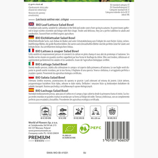 BIO Laitues à couper - Salad Bowl - Succès salade en version biologique
