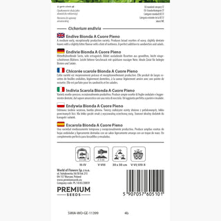 Chicorée scarole - Bionda A Cuore Pieno - Variété italienne à la saveur délicate - Cichorium endivia