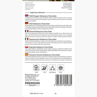 Piment - Habanero Chocolate - Très piquant, saveur fumée, goût fruité