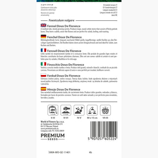 Fenouil - Doux De Florence - Aromatique - Foeniculum vulgare