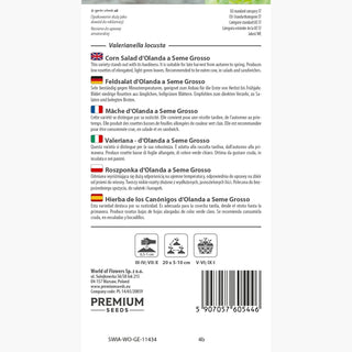 Mâche - d'Olanda a Seme Grosso - Populaire, saveur de noisette, résistante au froid - Valerianella locusta