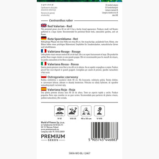 Valériane Rouge - Rouge - Exceptionnellement belles - avec un parfum incroyable ! - Centranthus ruber