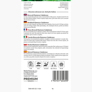 Chou Brocoli - Ramoso Calabrese - Italien, très productive, à grosses têtes