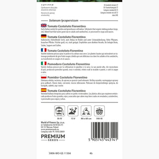 Tomate Costoluto Fiorentino - Variété italienne productive, chair sucrée et aromatique !