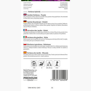 Verveine des Jardin - Violet - Port compact, floraison longue - Verbena hybrida