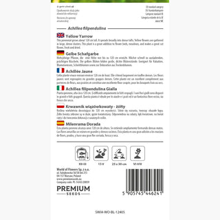 Achillée Jaune - Parfum délicat, très belle et attirant les papillons ! - Achillea filipendulina