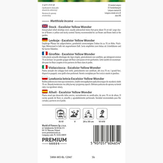 Giroflée - Excelsior Yellow Wonder - Jaune joyeux dans la palette du jardin - Matthiola incana