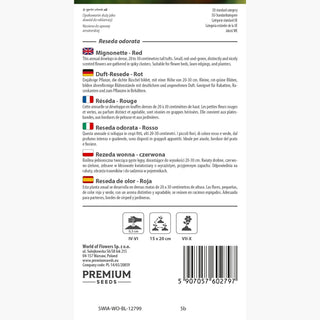 Réséda - Rouge - Naturelle, idéale pour les massifs et les bouquets - Reseda odorata