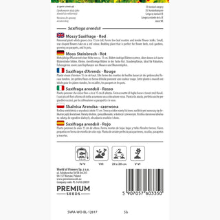 Saxifrage d’Arends - Rouge - Feuillage persistant, idéale pour rocailles - Saxifraga arendsii