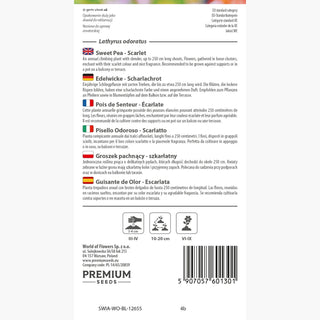 Pois de Senteur - Écarlate - Accent écarlate pour pergola - Lathyrus odoratus