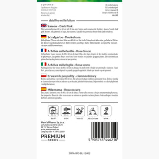 Achillée millefeuille Rose foncé - Résistante aux conditions difficiles et belle floraison ! - Achillea millefolium