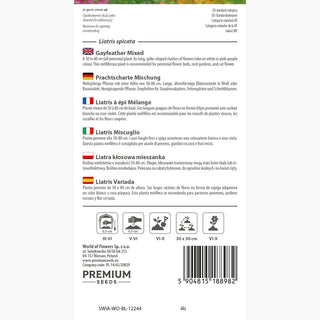 Liatris à Épi - Mélange - Culture facile, résistante à la sécheresse, pour massifs et bouquets - Liatris spicata